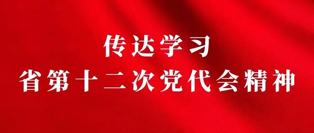 公司召开党委理论学习中心组学习（扩大）会议 传达学习省第十二次党代会精神